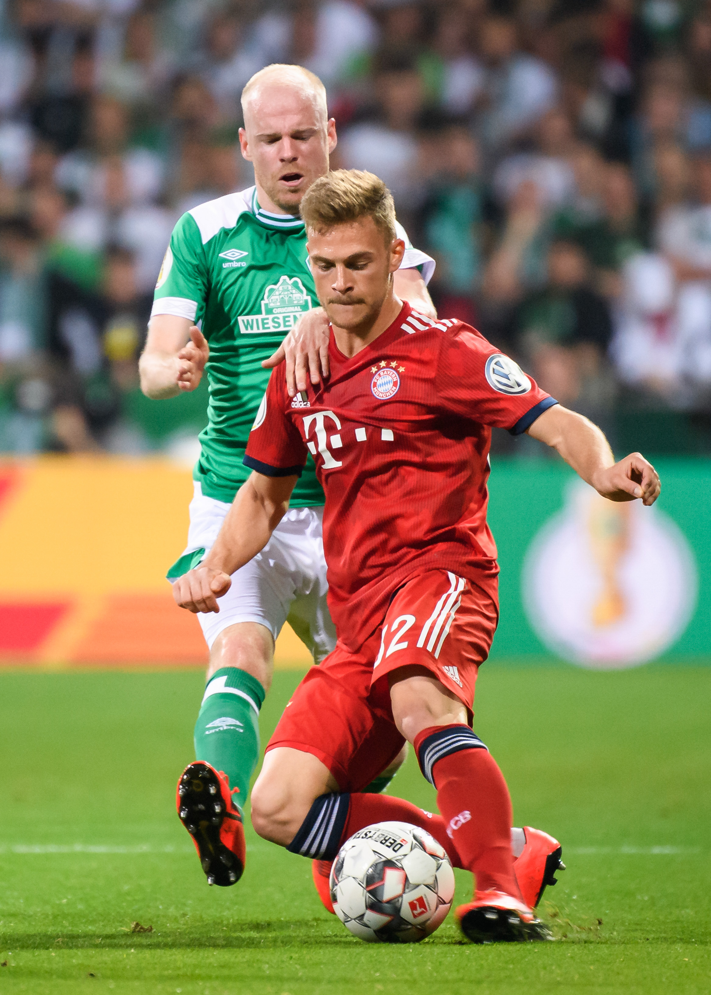 他们的高身 他们的高身